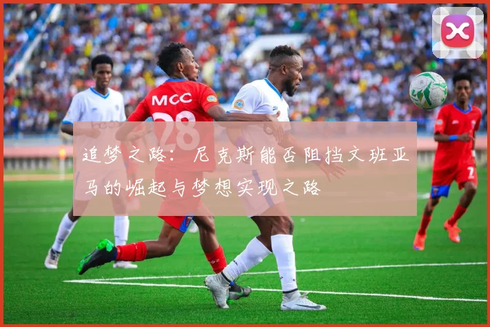 追梦之路：尼克斯能否阻挡文班亚马的崛起与梦想实现之路