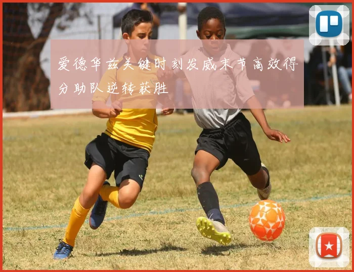 爱德华兹关键时刻发威末节高效得分助队逆转获胜
