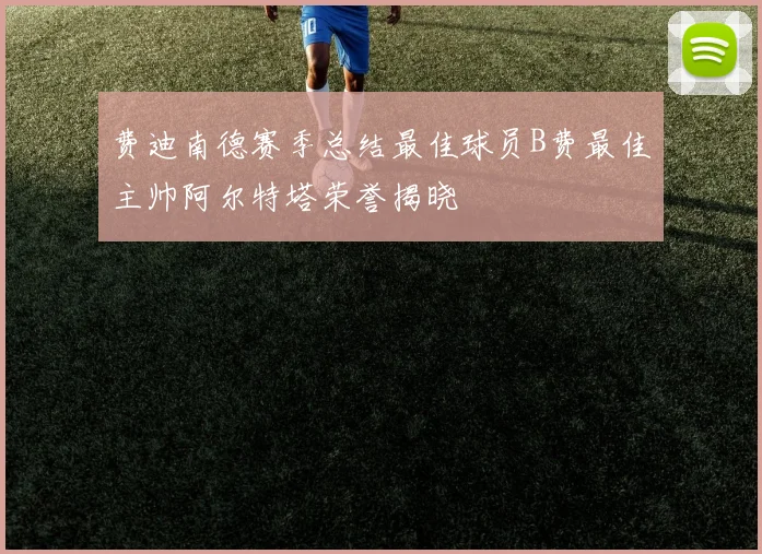 费迪南德赛季总结最佳球员B费最佳主帅阿尔特塔荣誉揭晓
