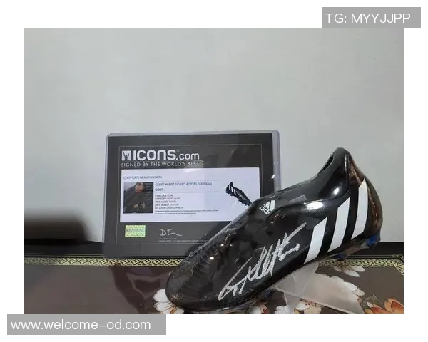 利拉德分享字母哥送的新款签名球鞋展现深厚友谊与团队精神